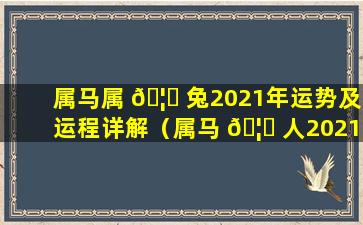 属马属 🦁 兔2021年运势及运程详解（属马 🦟 人2021年运势及运程每月运程属兔）